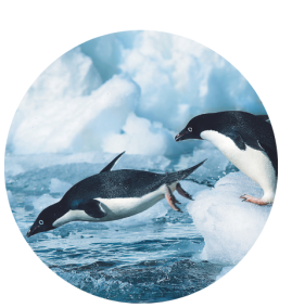 Hapag Lloyd_brochure